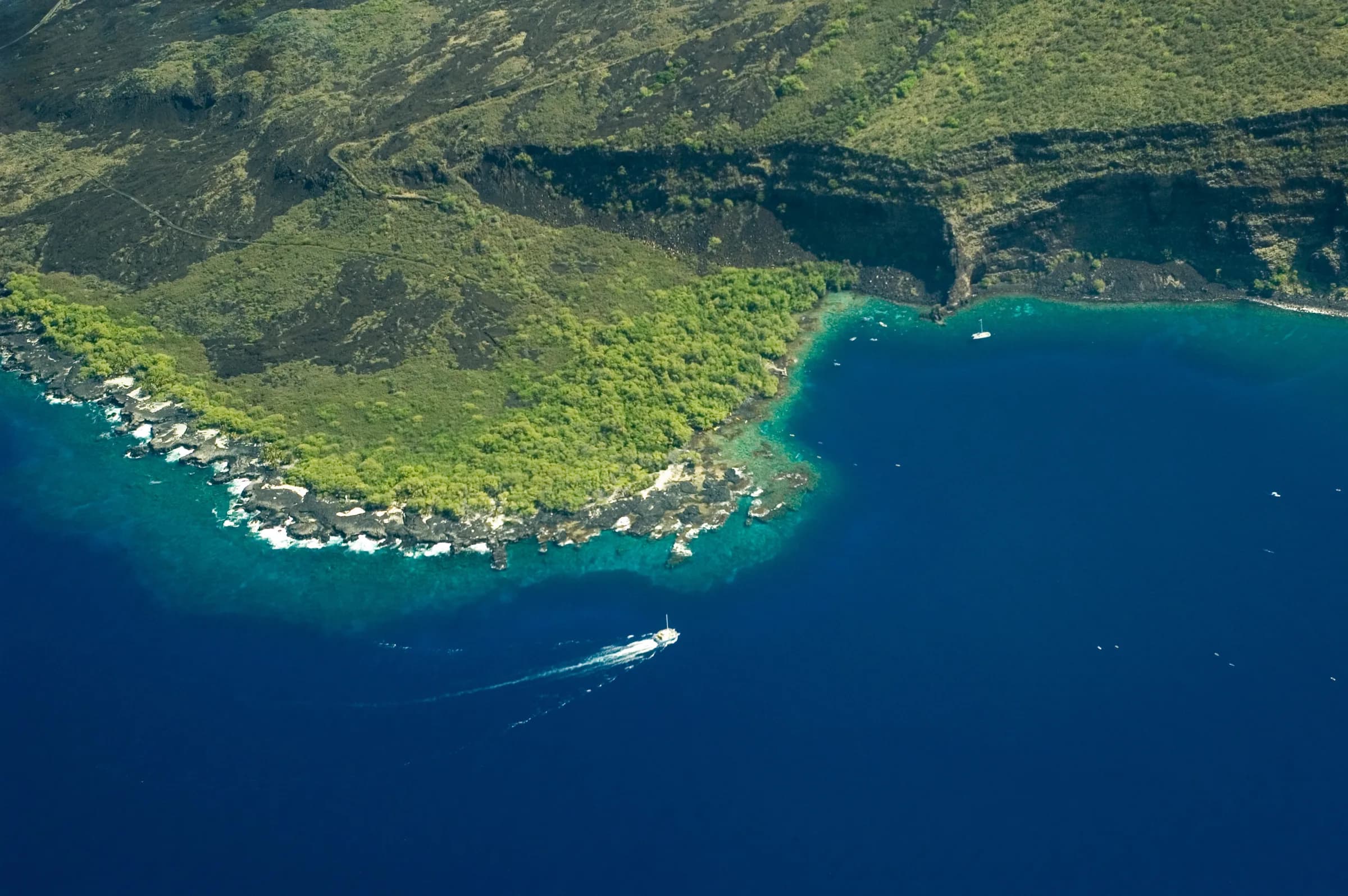 Boat Tours & Cruises